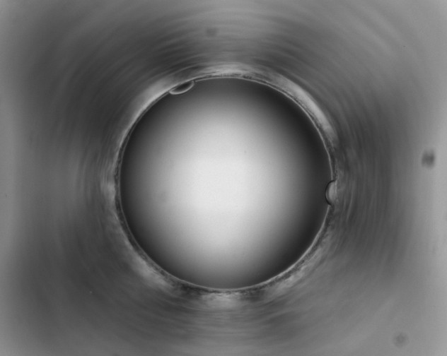X0000102870810200808181504