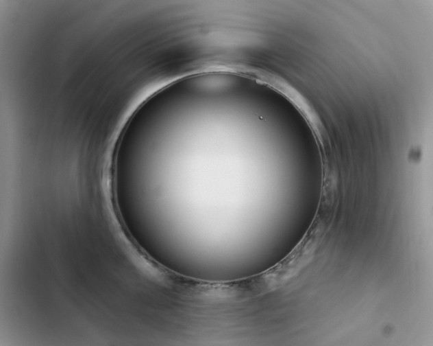 X0000102870811200808181504
