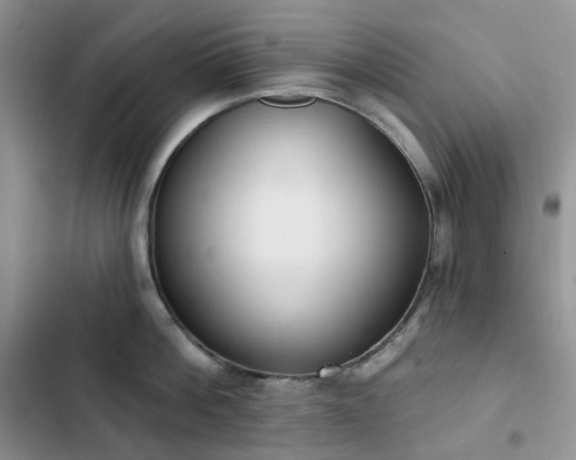 X0000102870812200808181504