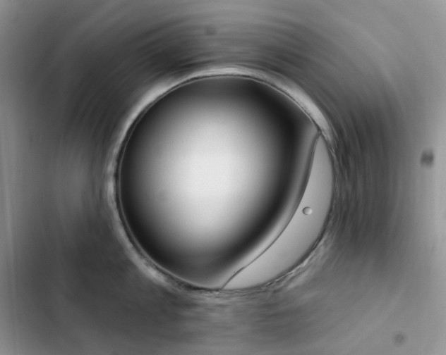 X0000102870813200808181504