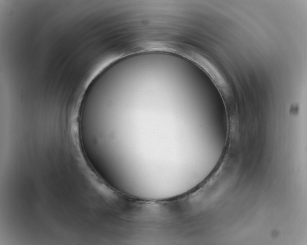 X0000102870814200808181504