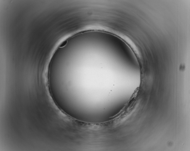 X0000102870815200808181504