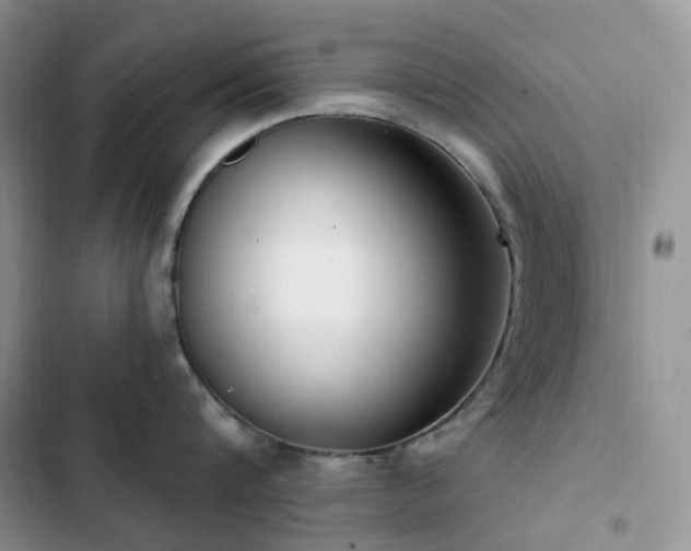 X0000102870816200808181504