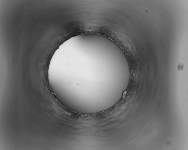 X0000102870817200808181504