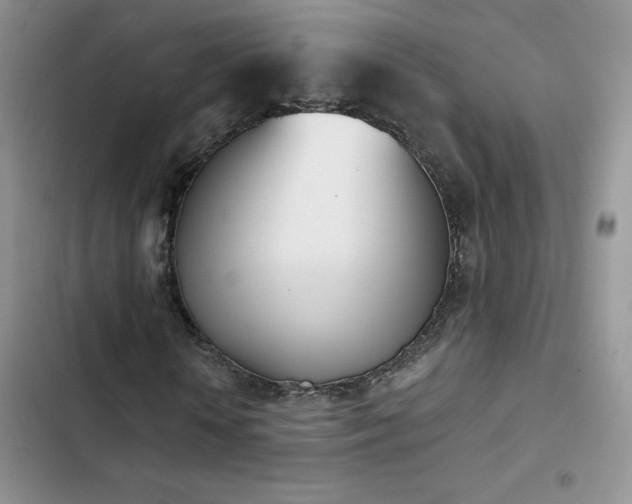 X0000102870818200808181504