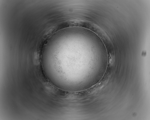 X0000102870819200808181504