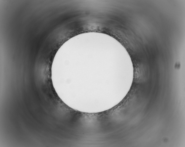 X0000102870820200808181504