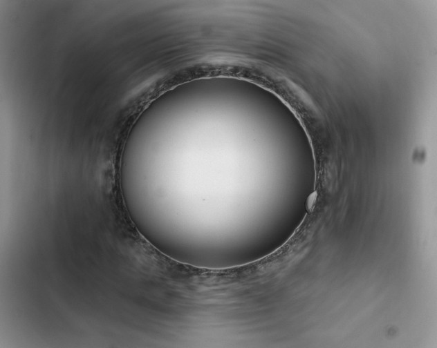 X0000102870821200808181504