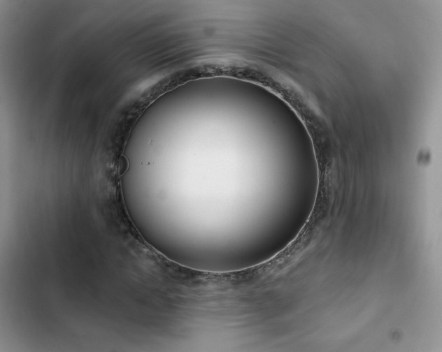 X0000102870822200808181504