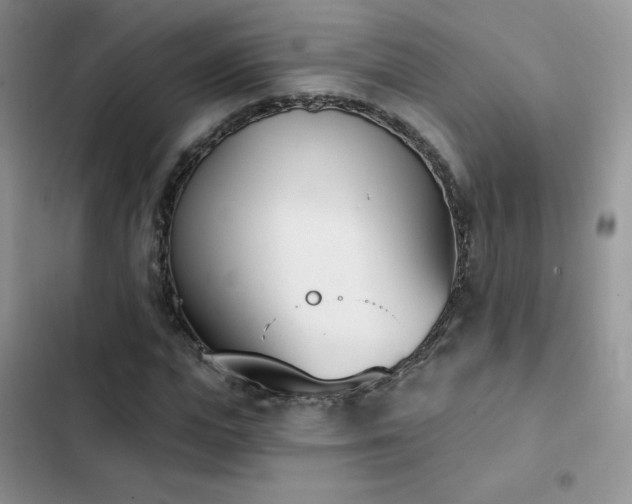 X0000102870823200808181504