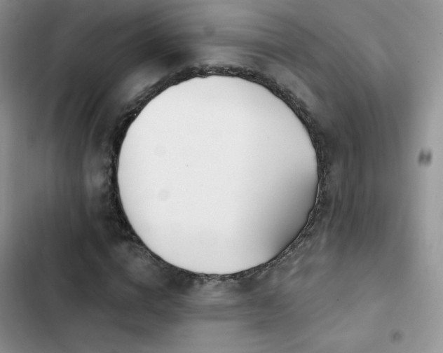 X0000102870824200808181504