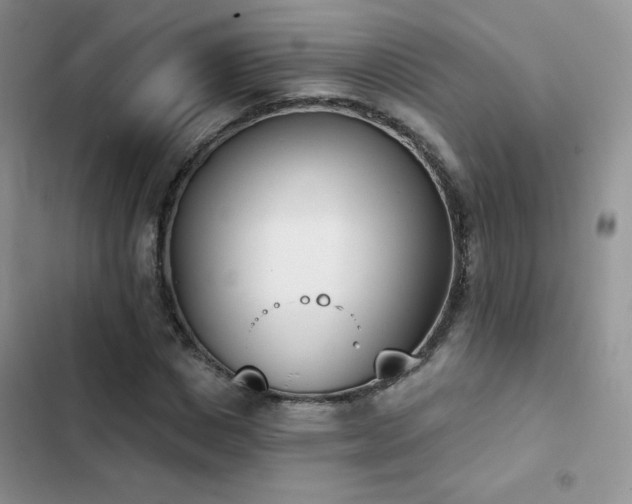 X0000102870825200808181504