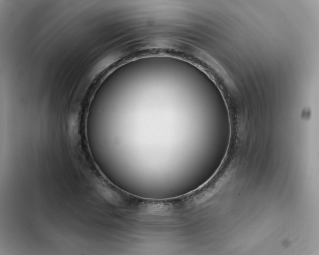 X0000102870826200808181504