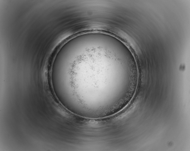 X0000102870827200808181504