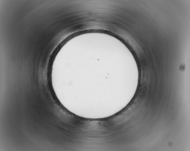 X0000102870828200808181504