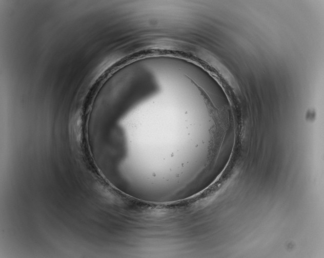 X0000102870829200808181504