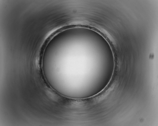 X0000102870830200808181504