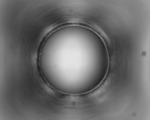 X0000102870831200808181504