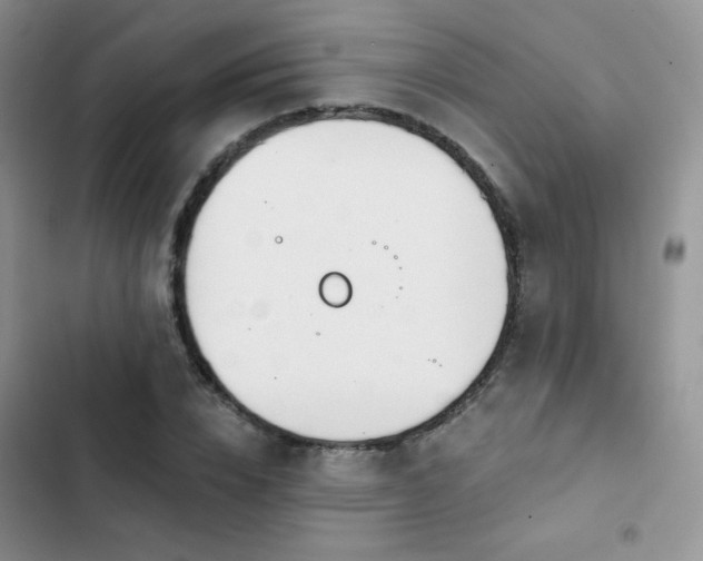 X0000102870832200808181504