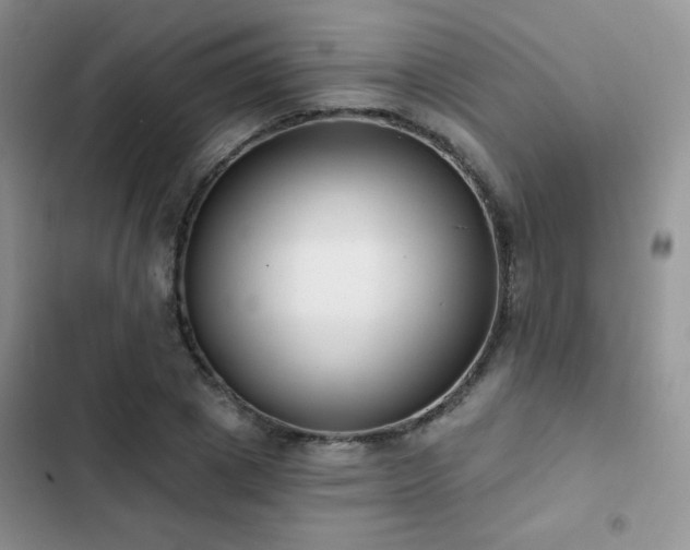 X0000102870833200808181504