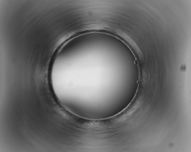 X0000102870834200808181504