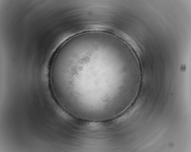 X0000102870835200808181504