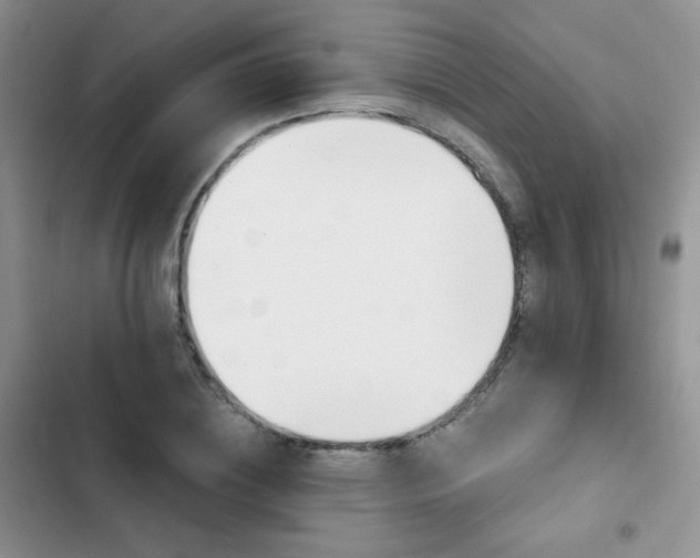 X0000102870836200808181504