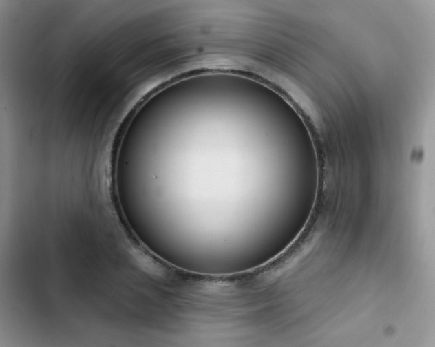 X0000102870837200808181504