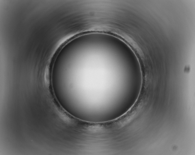 X0000102870838200808181504