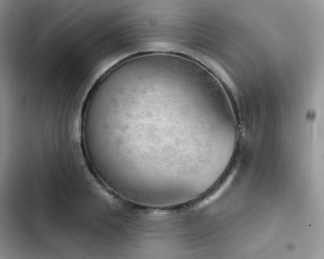 X0000102870839200808181504