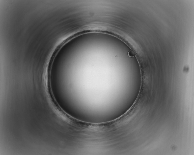 X0000102870840200808181504