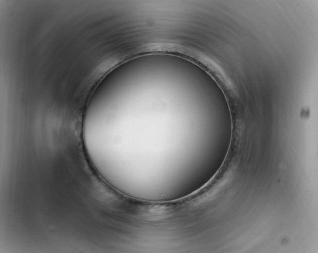X0000102870841200808181504