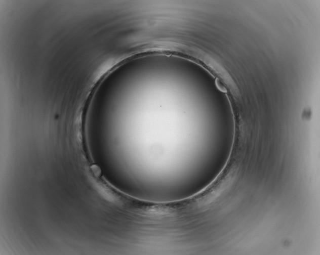 X0000102870842200808181504