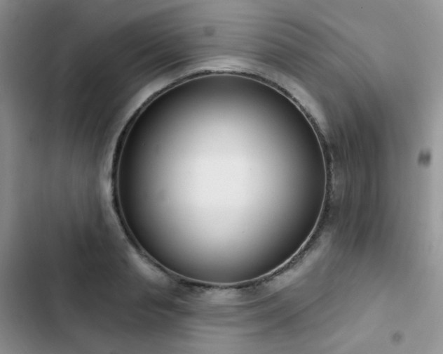 X0000102870845200808181504