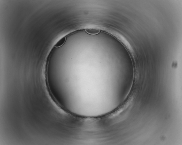 X0000102870847200808181504