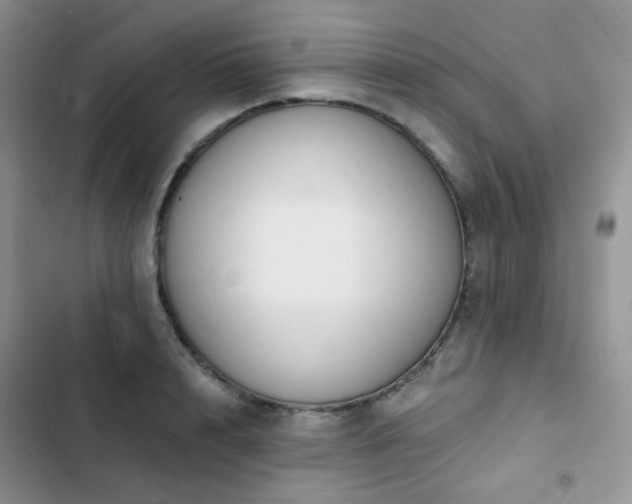 X0000102870848200808181504