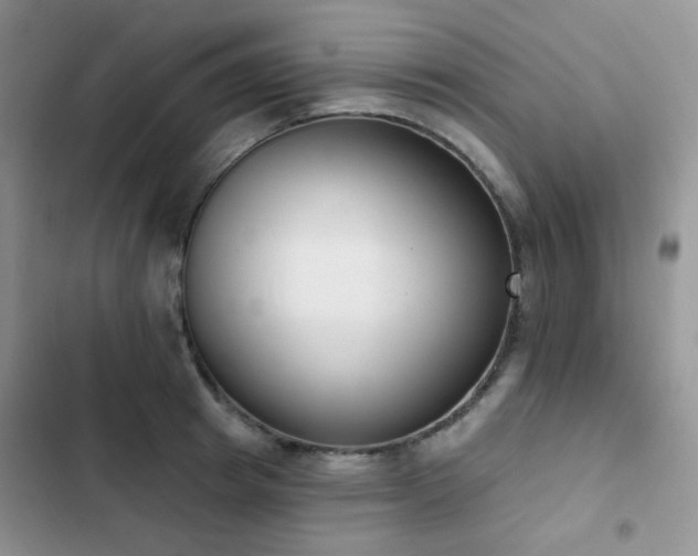 X0000102870849200808181504