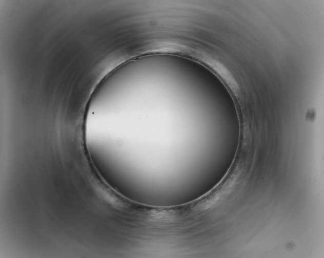 X0000102870850200808181504