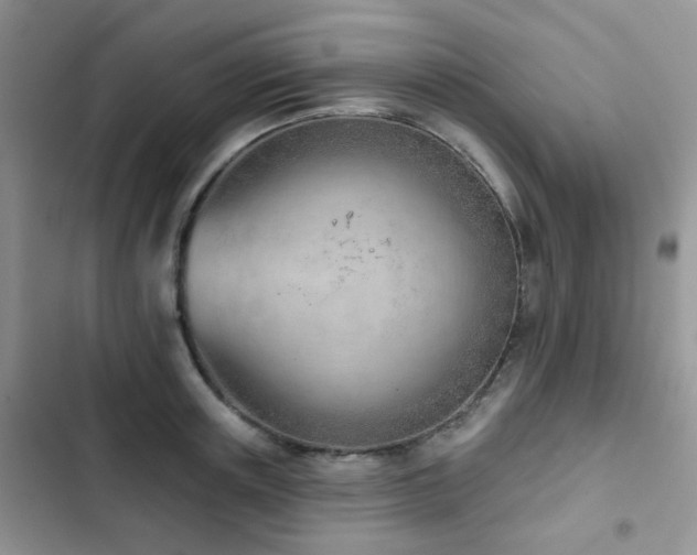 X0000102870851200808181504