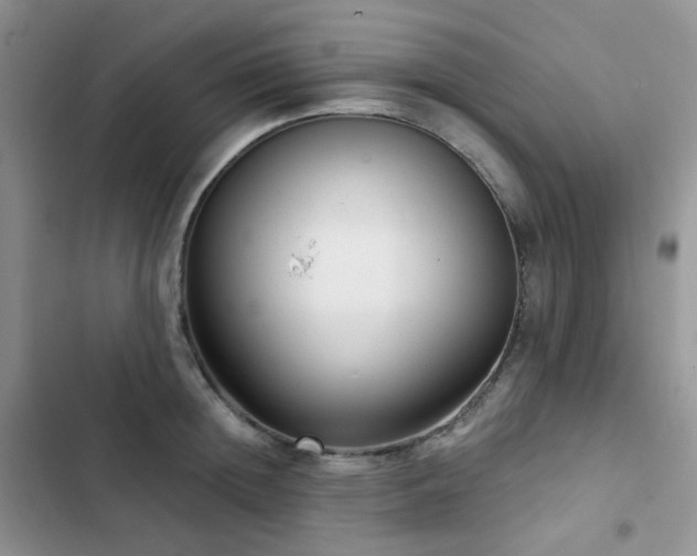 X0000102870852200808181504