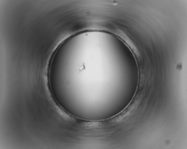 X0000102870853200808181504