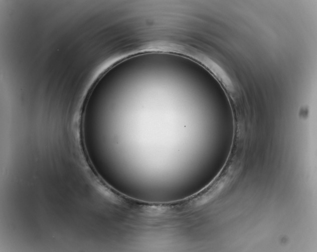 X0000102870854200808181504