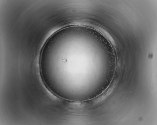 X0000102870855200808181504