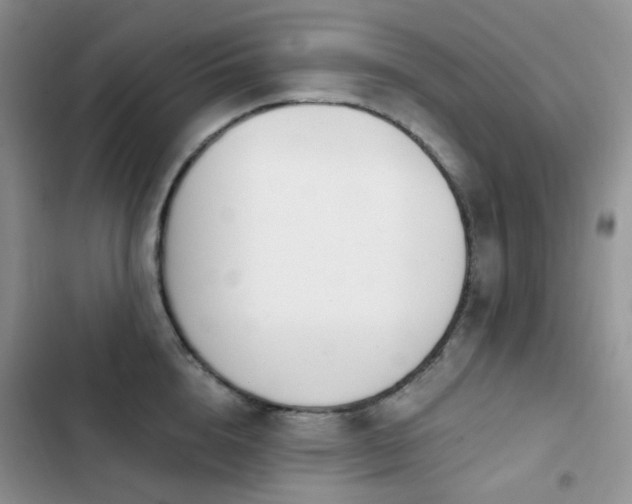 X0000102870856200808181504
