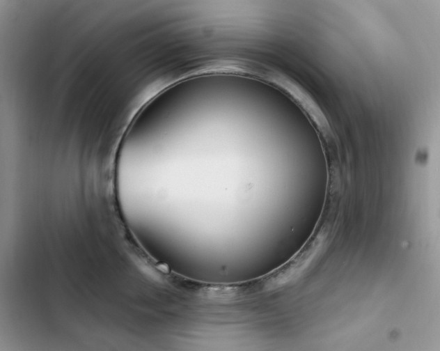 X0000102870858200808181504