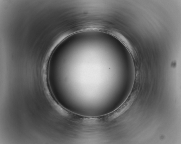 X0000102870859200808181504