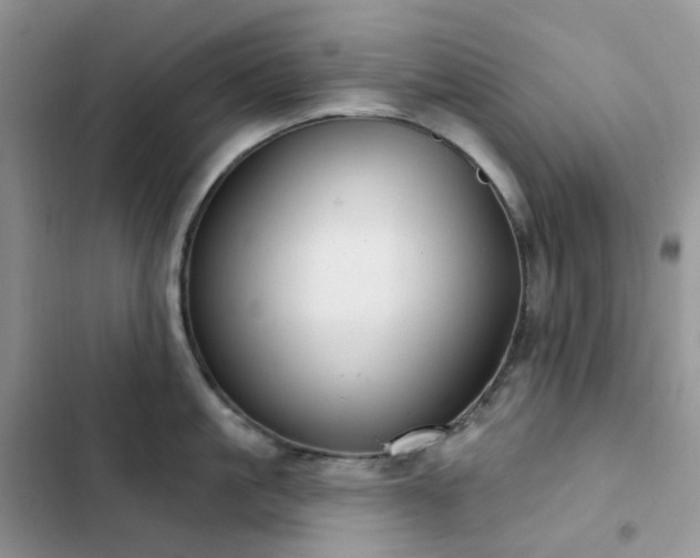 X0000102870861200808181504