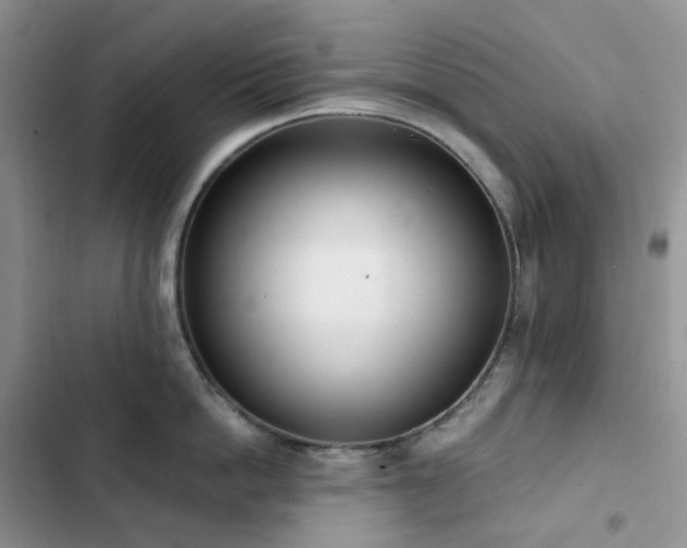 X0000102870862200808181504