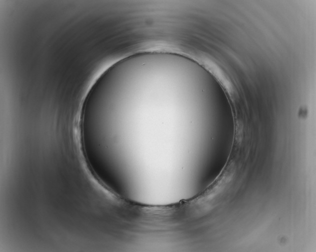 X0000102870863200808181504