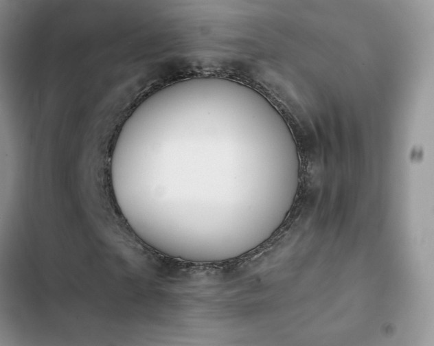 X0000102870865200808181504